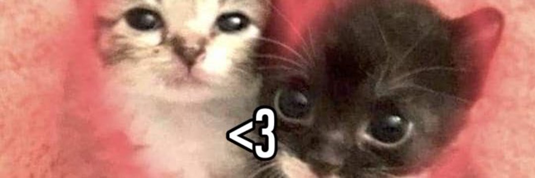 celiajimenezz's profile banner image