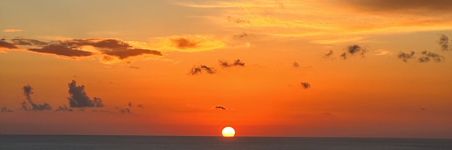 StephanieDslv's profile banner image