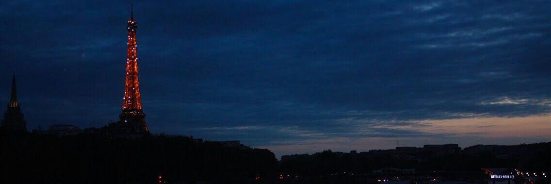 sararicov's profile banner image