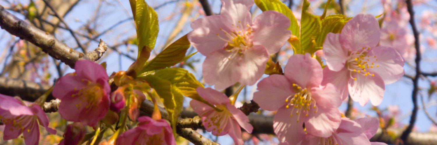 germa___N's profile banner image