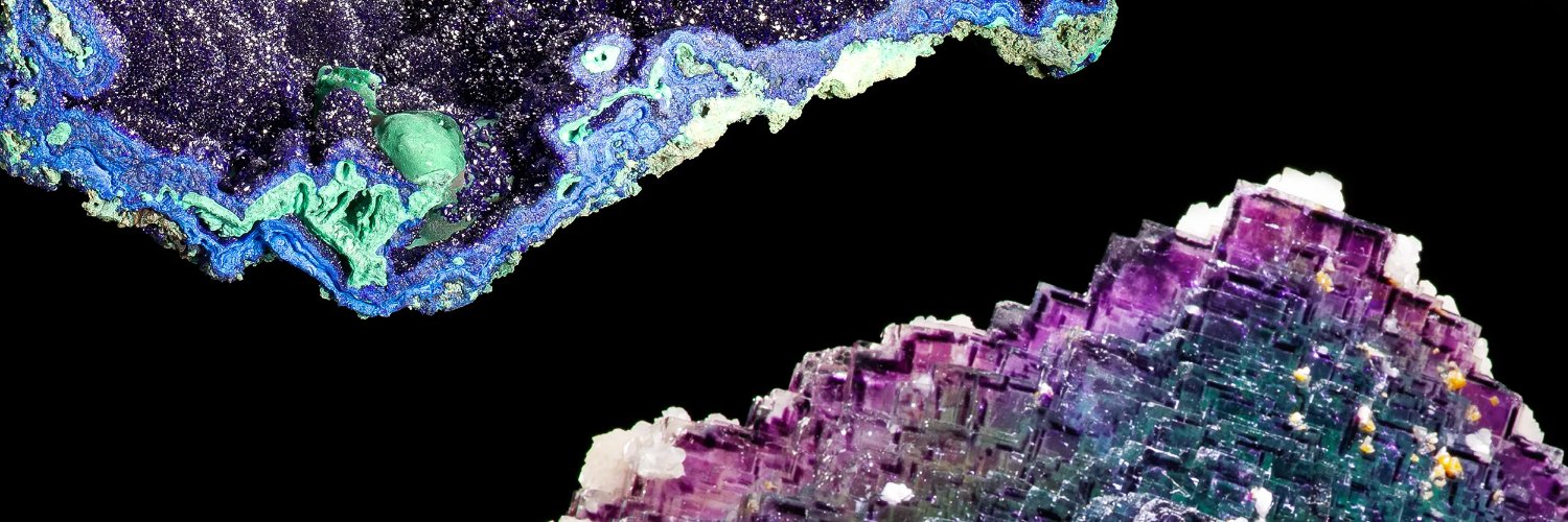 Natural History Museum of L.A. County banner