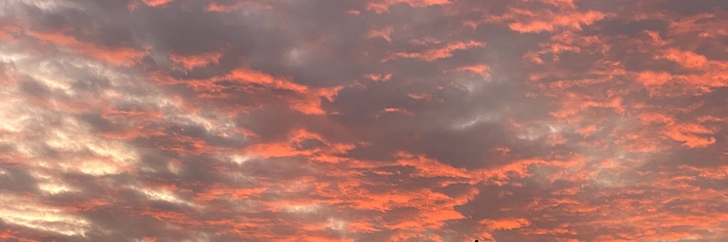 maite🌻 banner