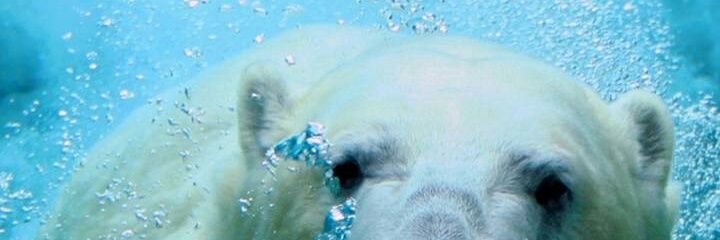 tristumm's profile banner image