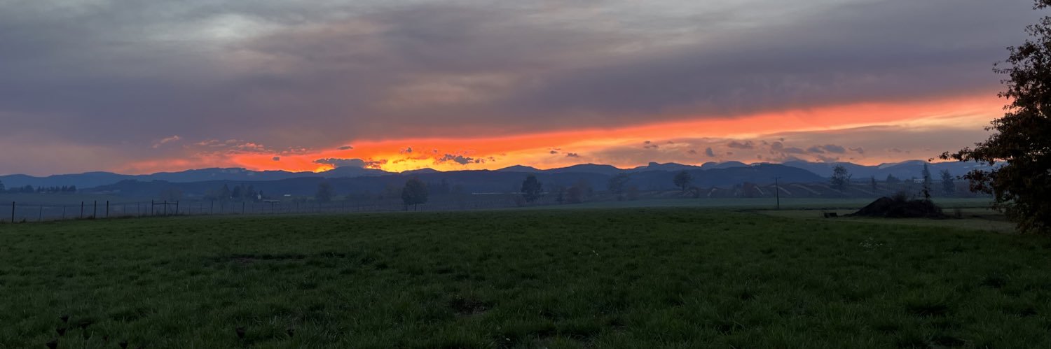 wardken's profile banner image