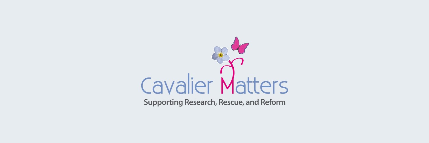 Cavalier Matters banner