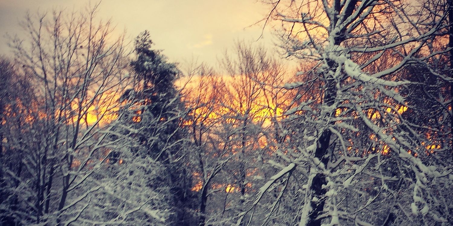 BookingSeed's profile banner image