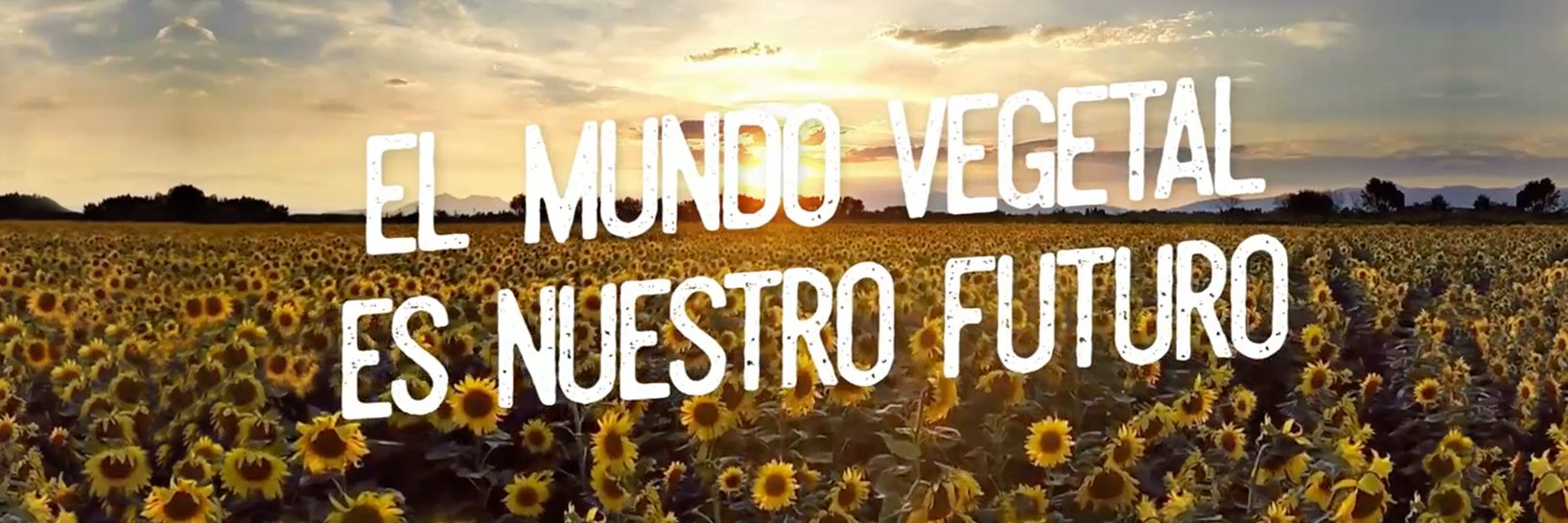 Flora_esp's profile banner image