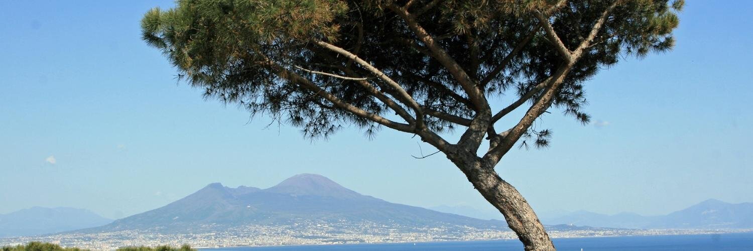 Manish A. Parikh banner