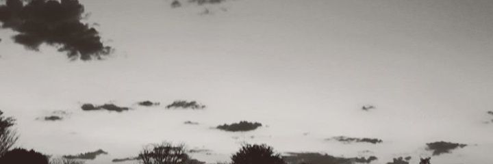 chieforacle_m's profile banner image