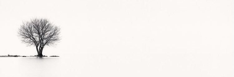 ete4ever's profile banner image
