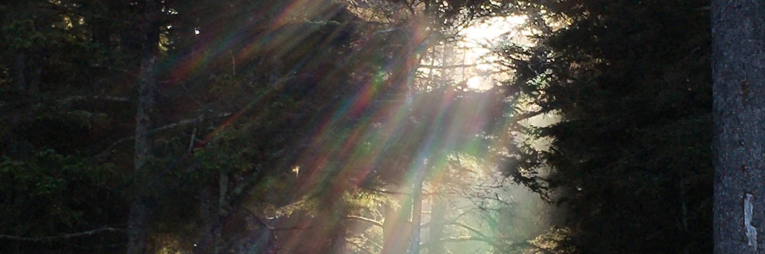 miiska444's profile banner image