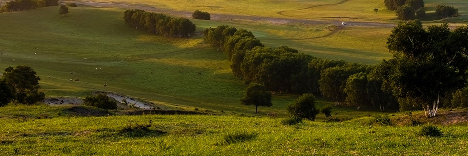 abdullah200006's profile banner image