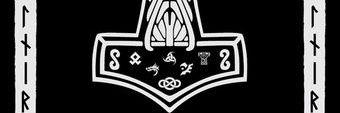 nintendojunkii's profile banner image