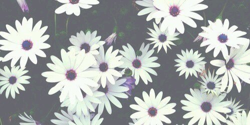 Rhemzzy's profile banner image