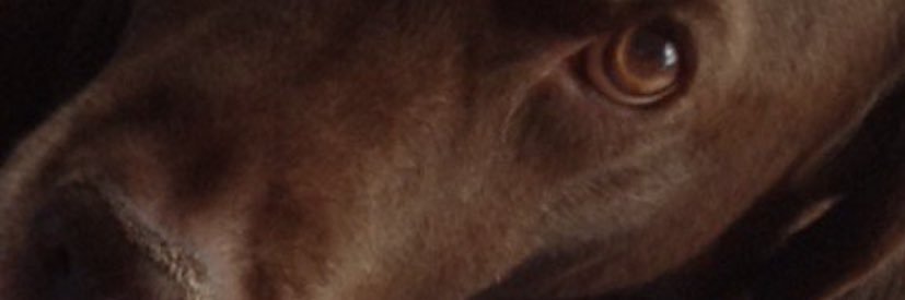 ajurame's profile banner image