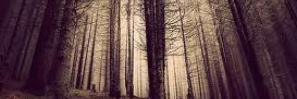 TennesseeDiary Profile Banner