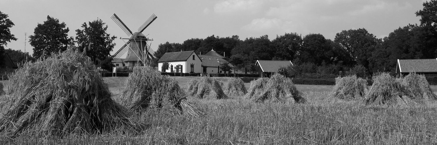 De Vlijt Wapenveld banner