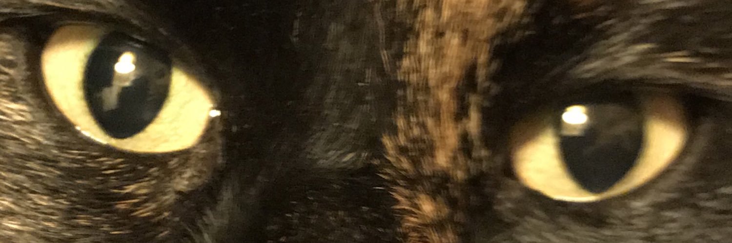 Daniel_Roetzer's profile banner image