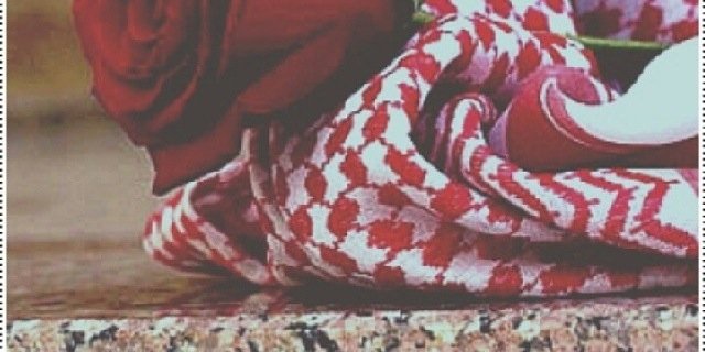 rbo3ty36's profile banner image