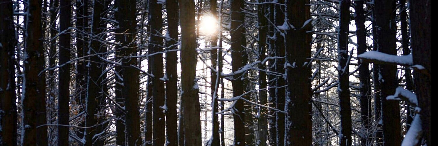 DanSwanking's profile banner image