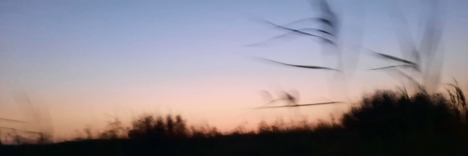 hovvarrrda's profile banner image