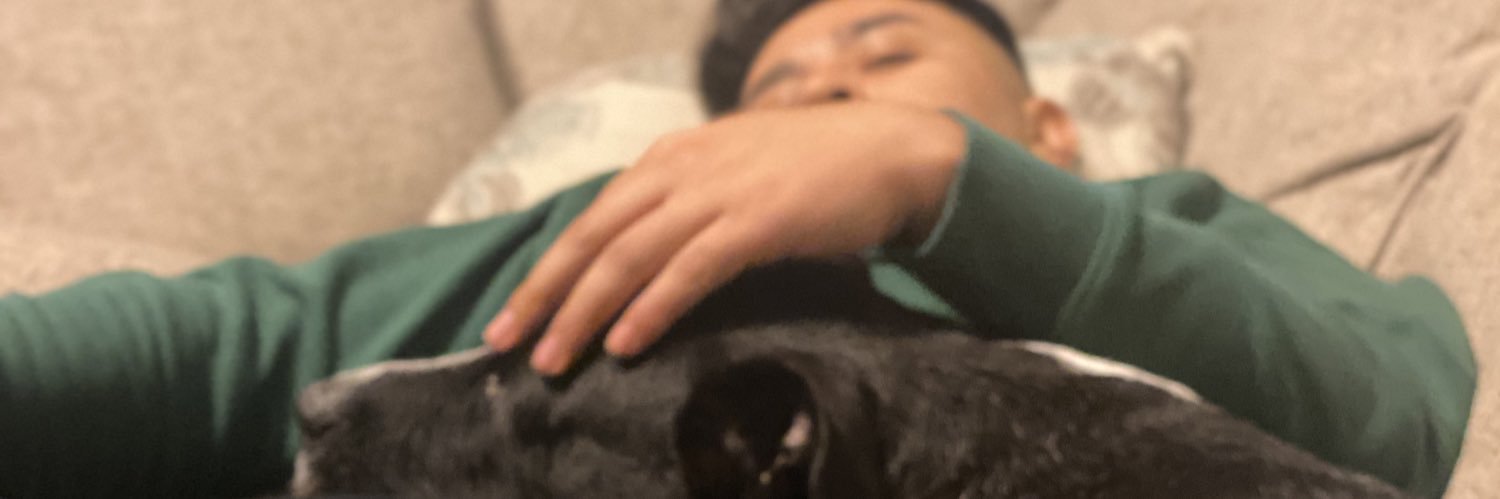 vvana_'s profile banner image
