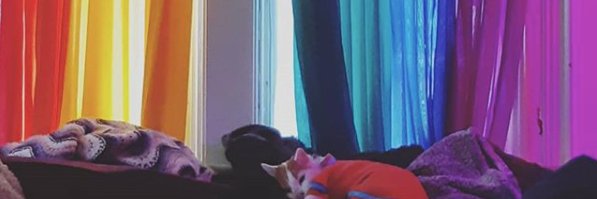 Amber 🐱🐝 Chisholm banner