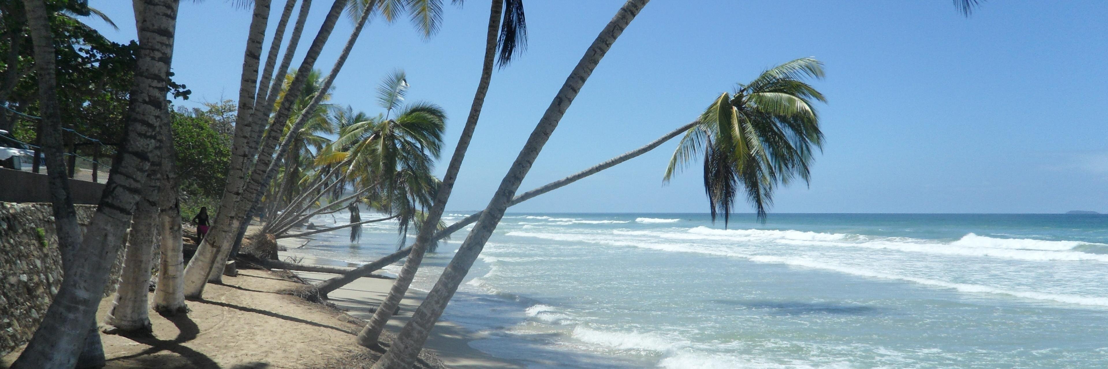 cemiciVenezuela's profile banner image