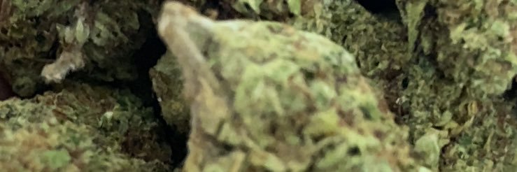 PacNPerfume's profile banner image