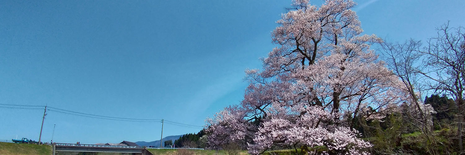 タカシ（仮） banner
