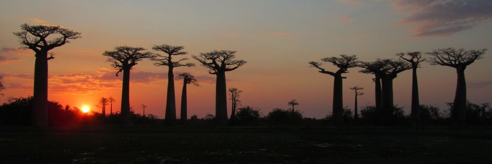 𝔹𝕒𝕓𝕒 banner