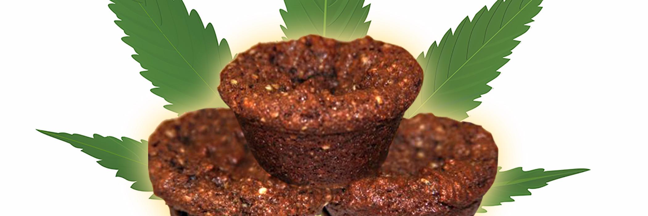 Peacecock's profile banner image