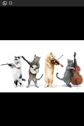 MQuintEsp's profile banner image