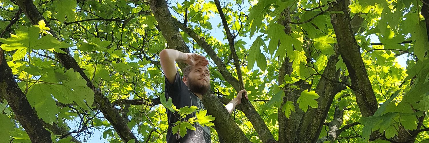 hlavontomas's profile banner image