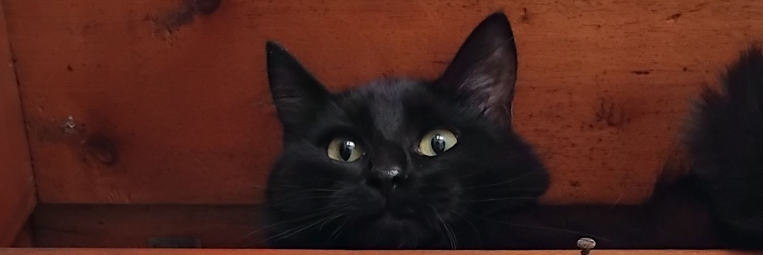 RamosAlGo_'s profile banner image