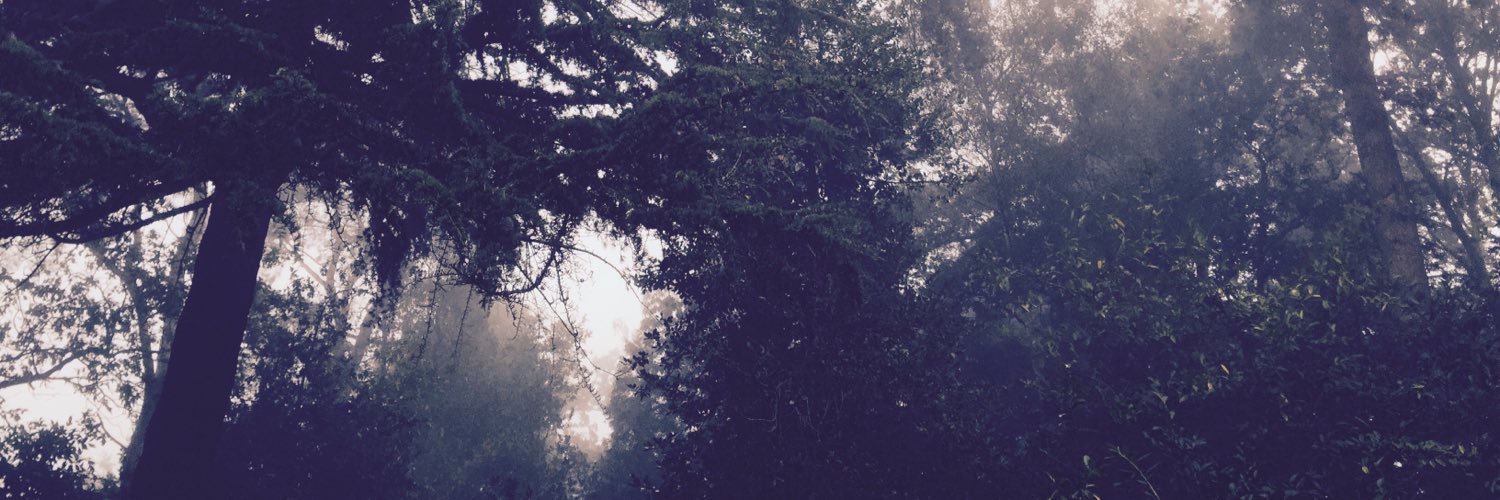 Snubzee's profile banner image