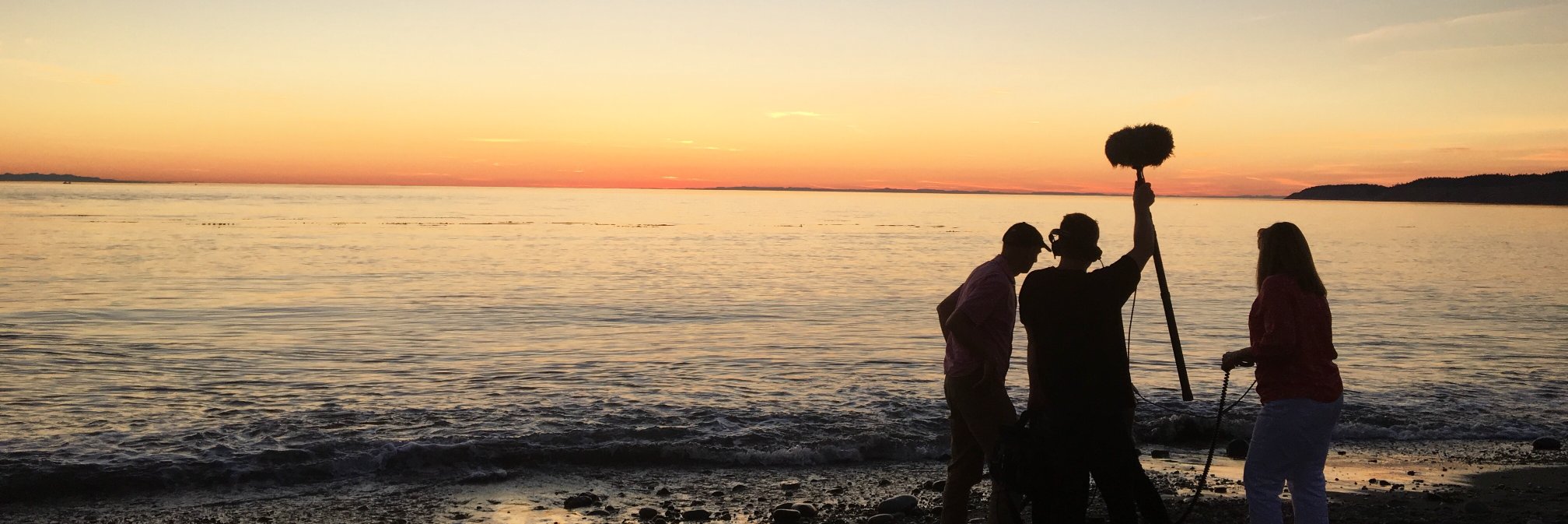 FactNotFictionFilms banner