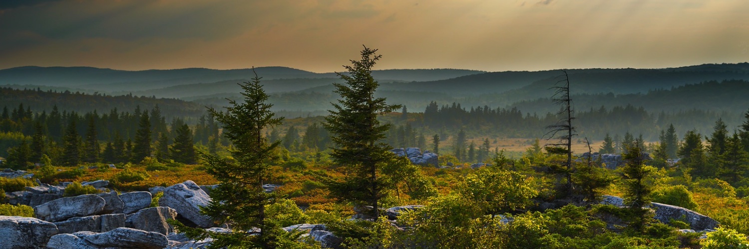 West Virginia Highlands Conservancy banner