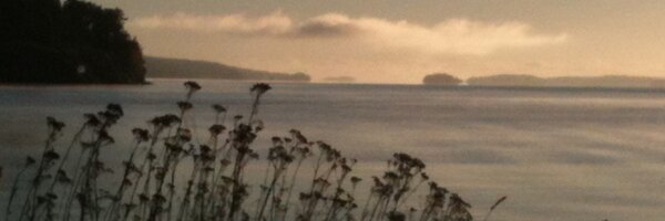 PerJoelson Profile Banner