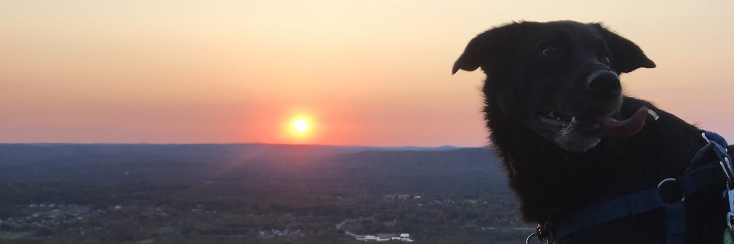 Megadon23's profile banner image