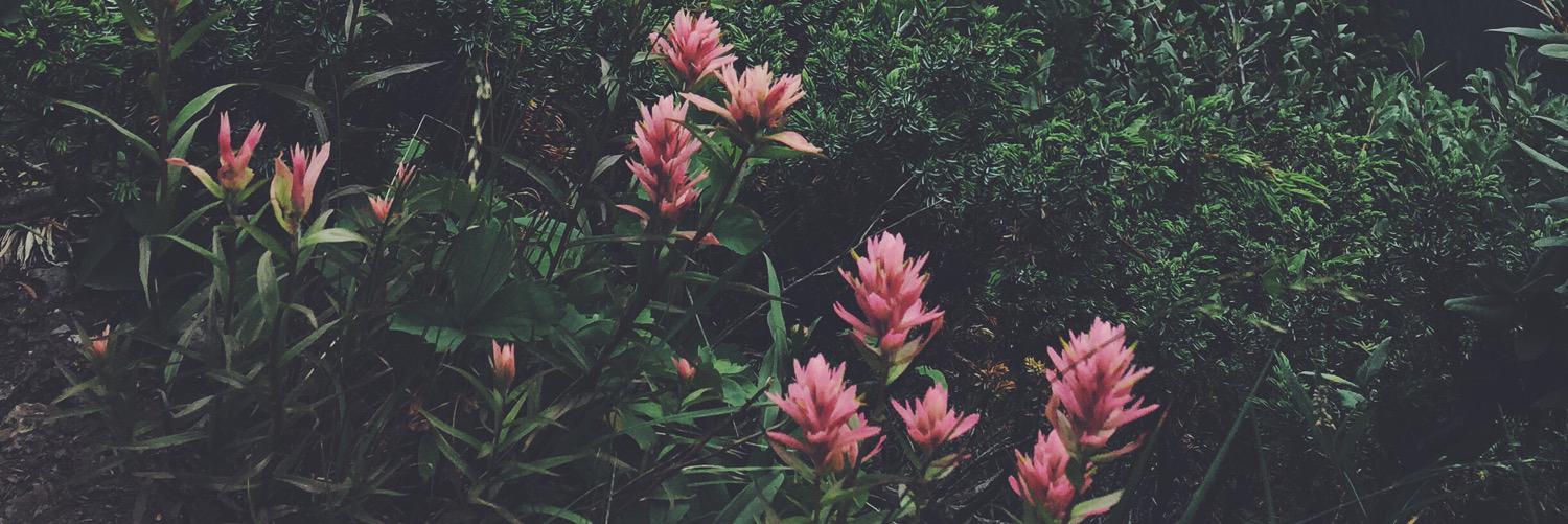 teigankopec's profile banner image