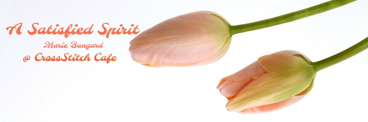CrossStitchCafe's profile banner image