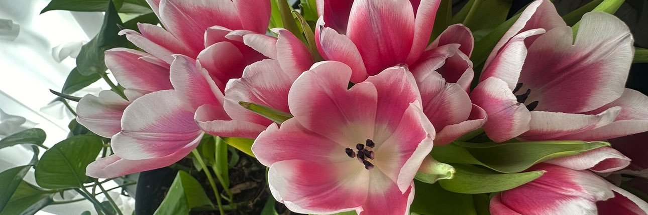 ashley_doering's profile banner image