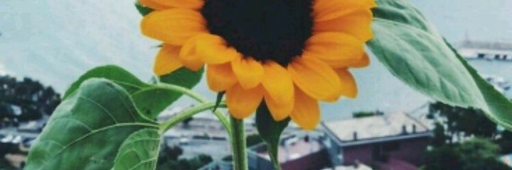 KellyJohanaTo's profile banner image