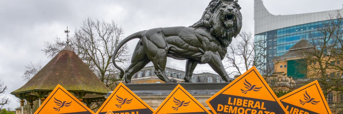 Reading Lib Dems 🔶 banner