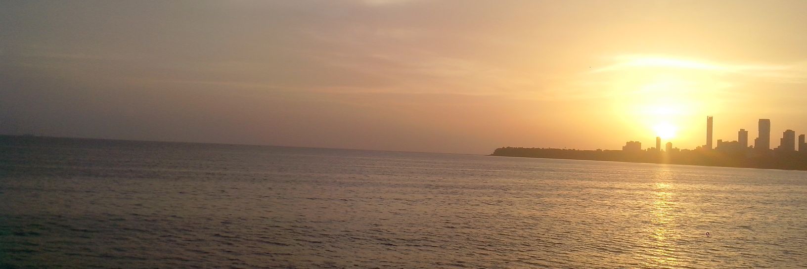 sailashaikh's profile banner image