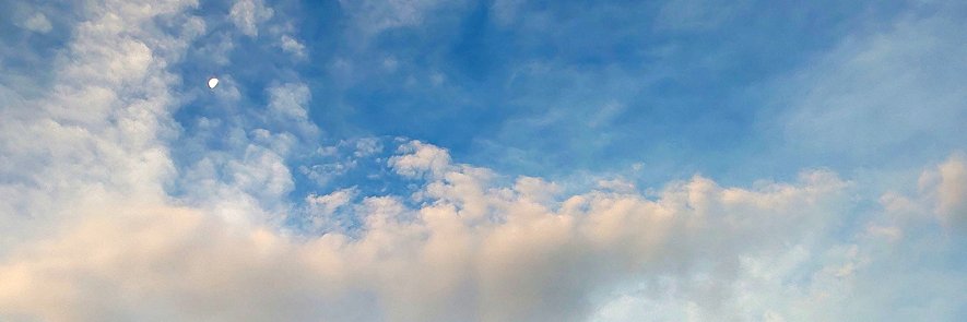 miccorina's profile banner image