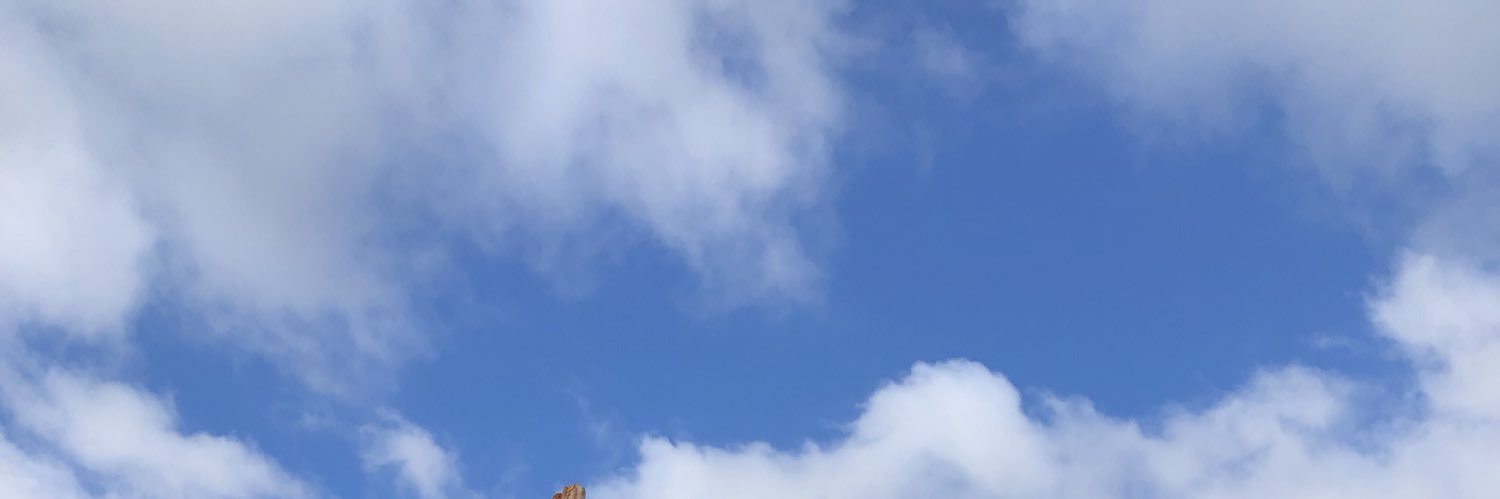 bosoxglo's profile banner image
