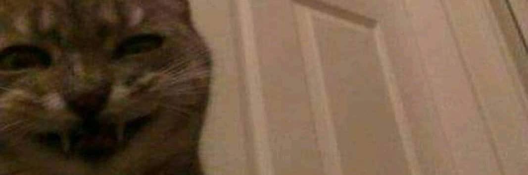 nothingdood's profile banner image