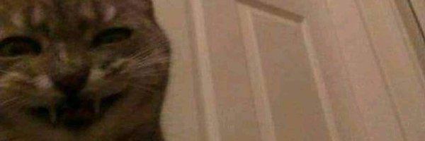 nothingdood Profile Banner